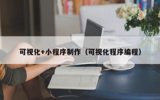 伊川可视化+小程序制作（可视化程序编程）